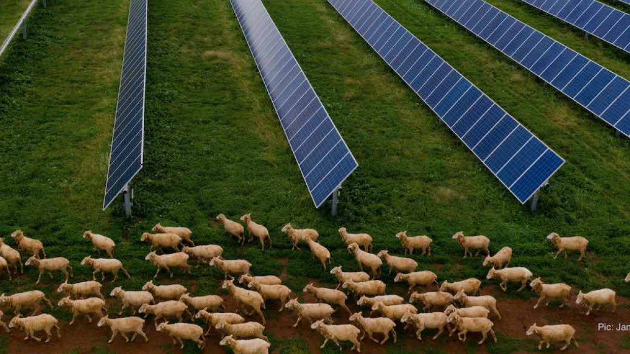 SOLAR SURGE: 84% OF NEW U.S. POWER CAPACITY CAME FROM SOLAR IN 2024