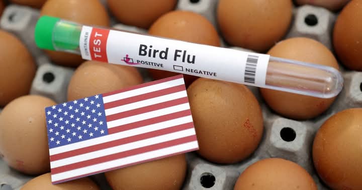 🥚 U.S. Seeks Egg Imports from Denmark, Europe Amid Soaring Prices 💰