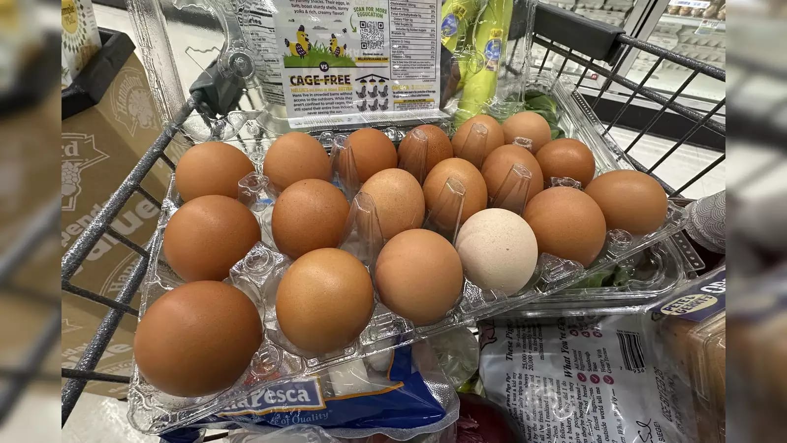 U.S. Egg Prices Soar, Fueling Smuggling Surge from Mexico
