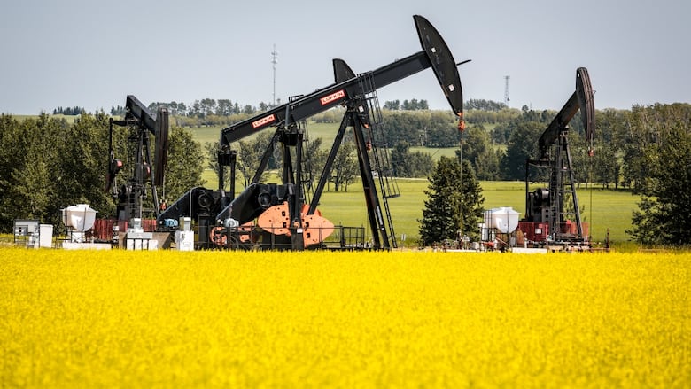 Canadian Farmers Struggle with Two-Front Trade War