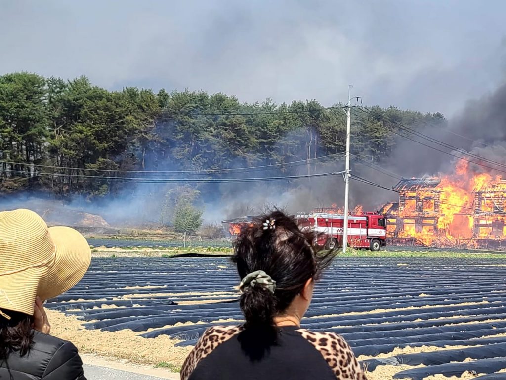 South Korea Wildfires Kill Four, Including Three Firefighters