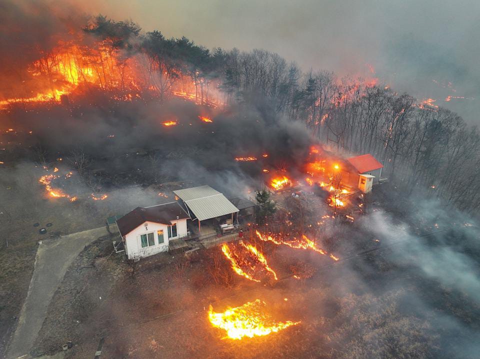 Deadly Wildfires in South Korea Kill 18, Force Over 27,000 to Evacuate
