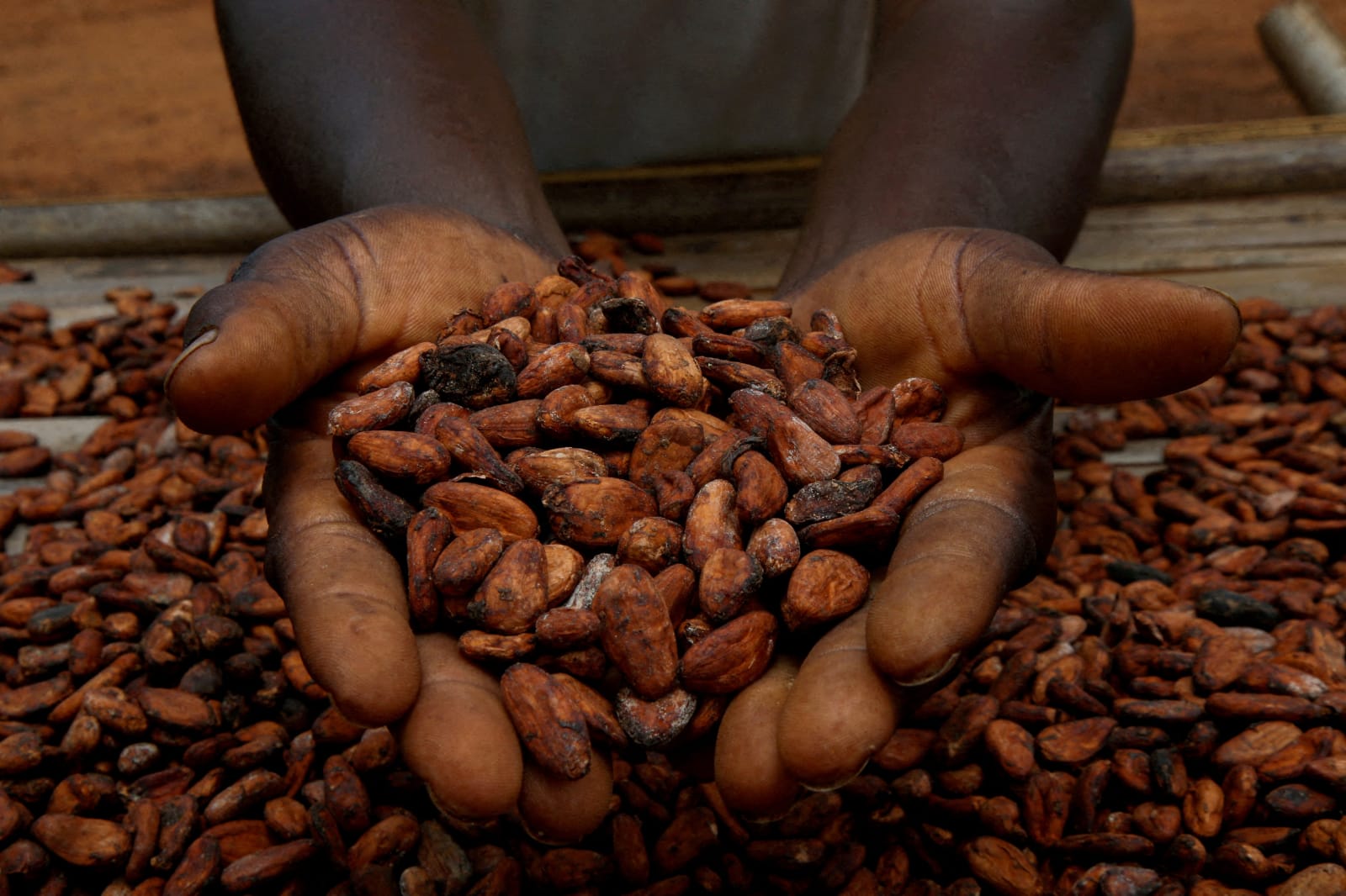 U.S. Imposes First Tariffs on Coffee Imports Since Colonial Times, Raising Costs and Complicating Supply Chain