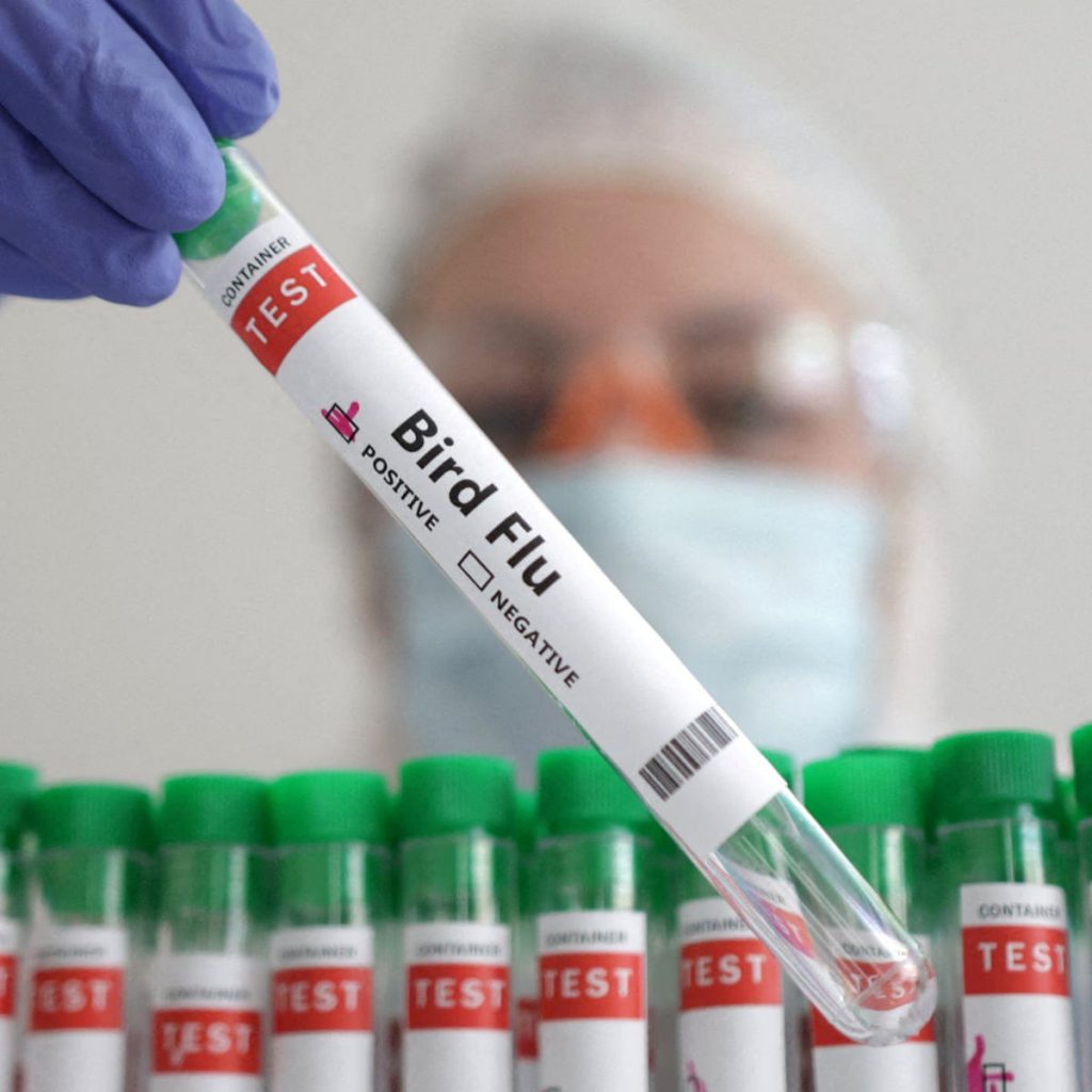 Mexico Detects First Human Case of H5N1 Bird Flu