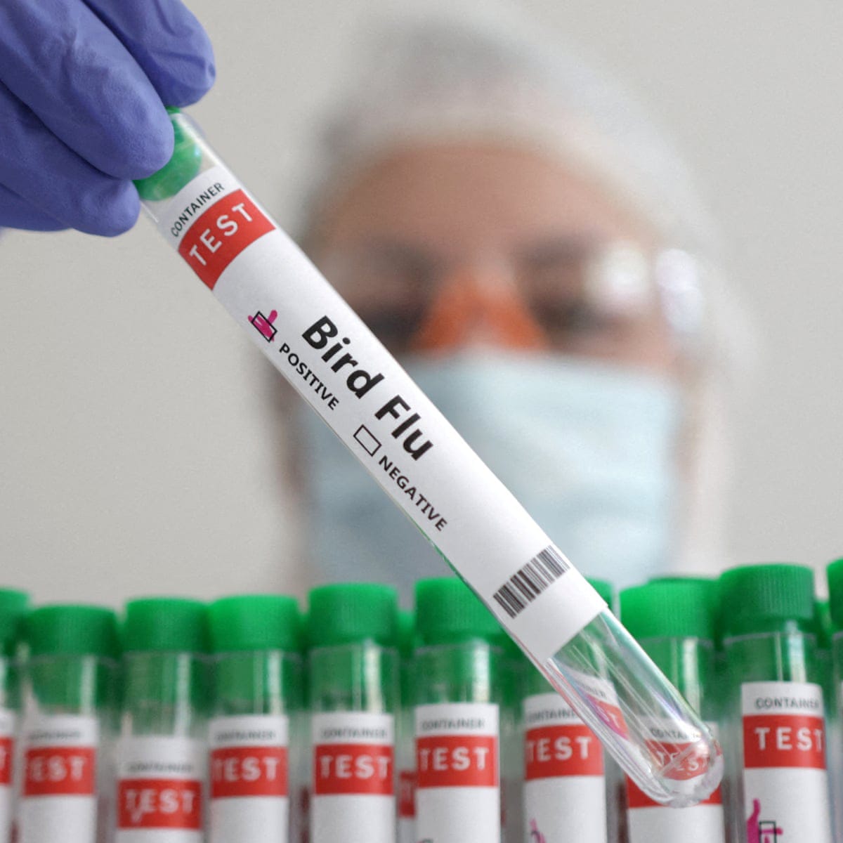 Mexico Detects First Human Case of H5N1 Bird Flu