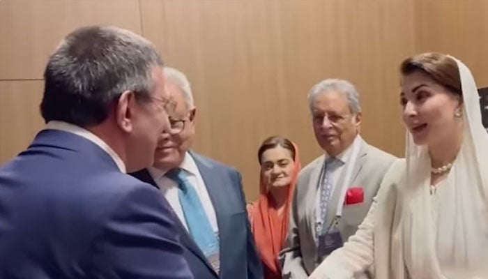 Turkish Vice President Cevdet Yılmaz Meets Chief Minister Punjab Maryam Nawaz Sharif