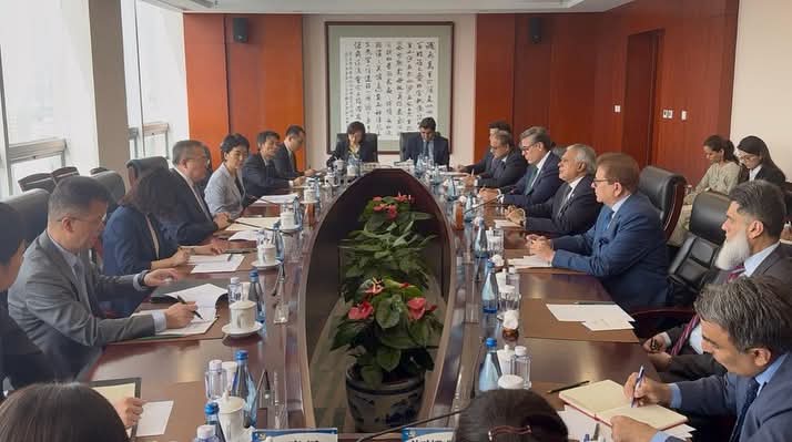Deputy Prime Minister Ishaq Dar Meets Senior Chinese Official in Beijing