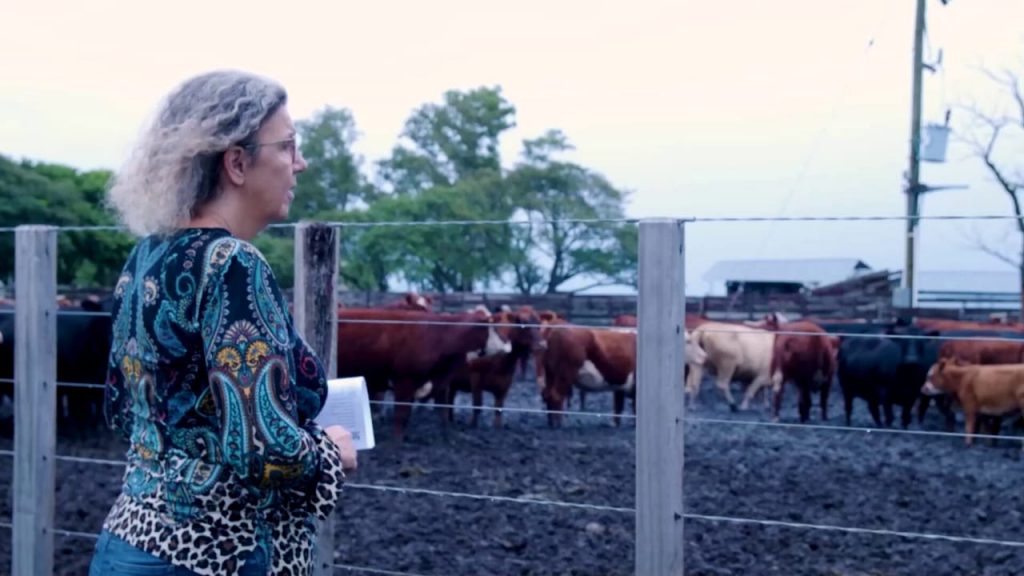 ‘Cow Bond’ Scheme Collapse Shakes Uruguay’s Financial Sector