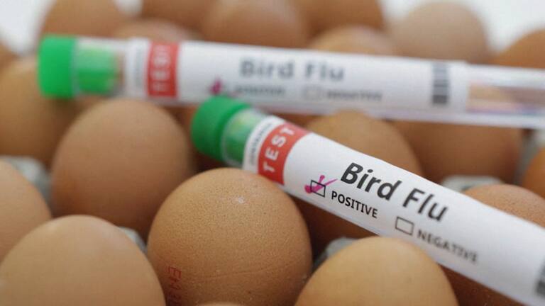 Australian wildlife officers monitoring wild birds as part of H5 bird flu Australia preparedness and avian influenza surveillance.