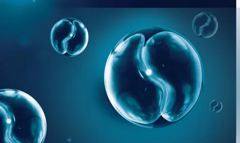 A microscopic view of Cyclospora cayetanensis oocysts, the parasite responsible for the 2026 US cyclosporiasis outbreak affecting thousands across multiple states.