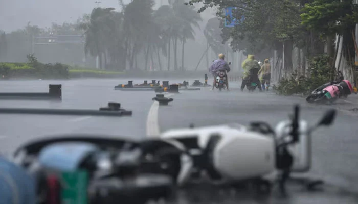 Natural Disaster Losses