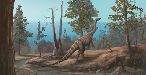 Fossil remains of a newly discovered dinosaur species that lived in Zimbabwe 210 million years ago.