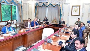 Government officials and business representatives at a policy consultation meeting in Pakistan