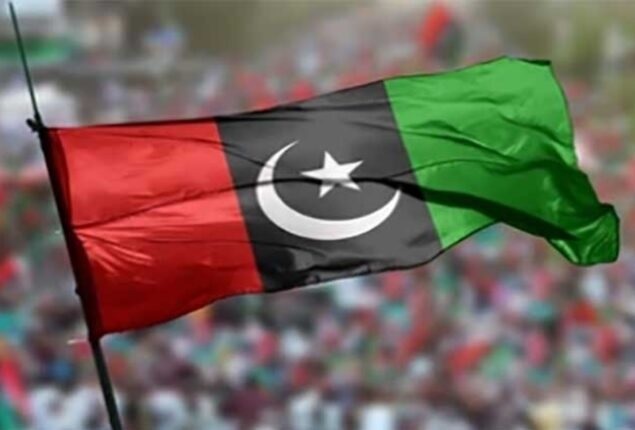PPP flag waving over a rally crowd in rural Sindh, symbolizing the party's political dominance in the province