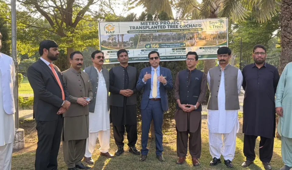 Mature transplanted trees at the Tree Transplantation Orchard in Bagh-e-Jinnah, Faisalabad, Punjab, Pakistan.